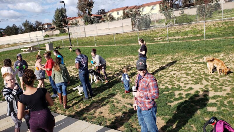 Harborview / Seaside Village Dog Park - Oceanside, CA