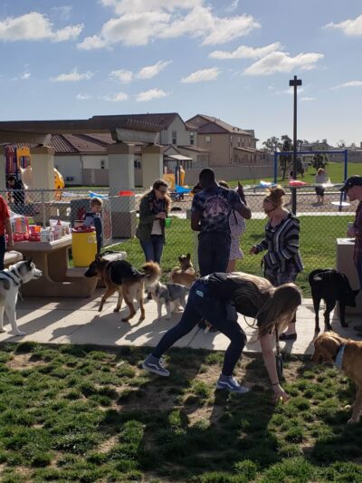 Harborview / Seaside Village Dog Park - Oceanside, CA
