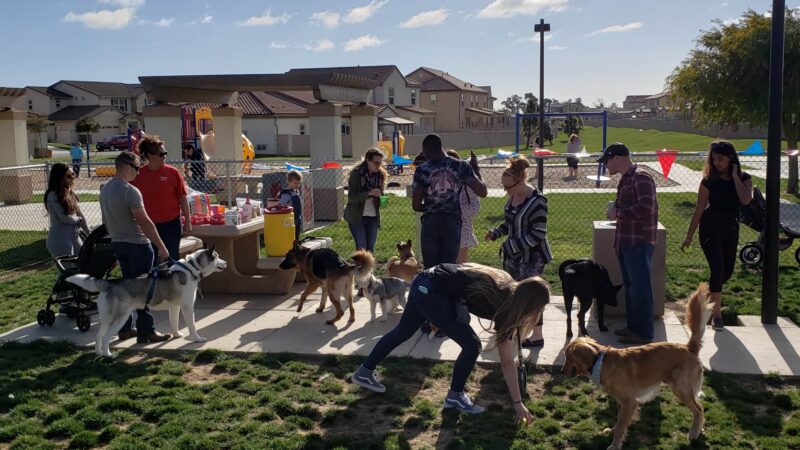 Harborview / Seaside Village Dog Park - Oceanside, CA