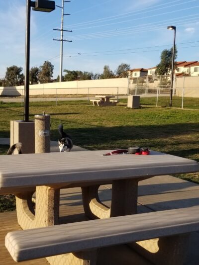 Harborview / Seaside Village Dog Park - Oceanside, CA