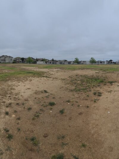 Marine Base Dog park - Oceanside, CA