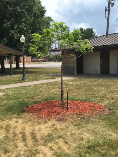 Ogden City Park - Ogden, IA