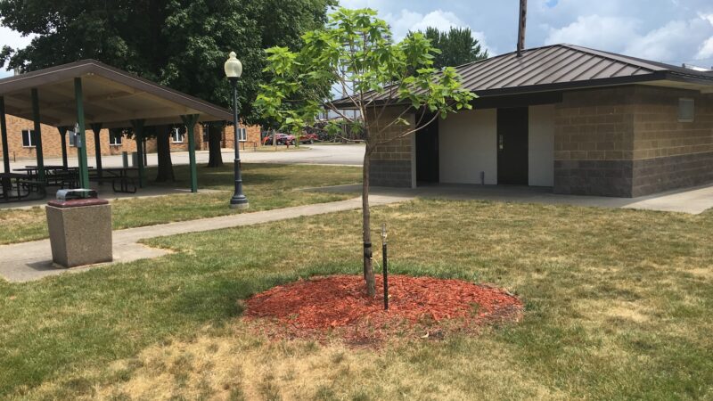 Ogden City Park - Ogden, IA