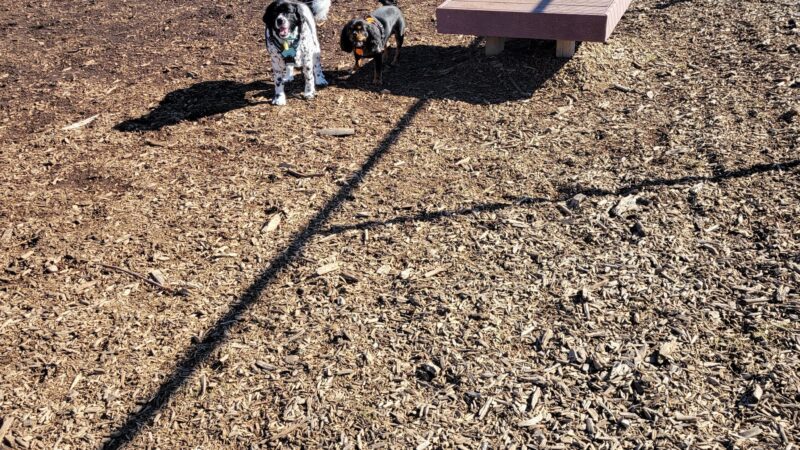 Ogden City Dog Park - Ogden, UT