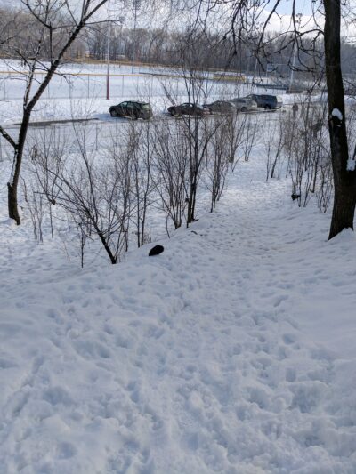 Ogden City Dog Park - Ogden, UT