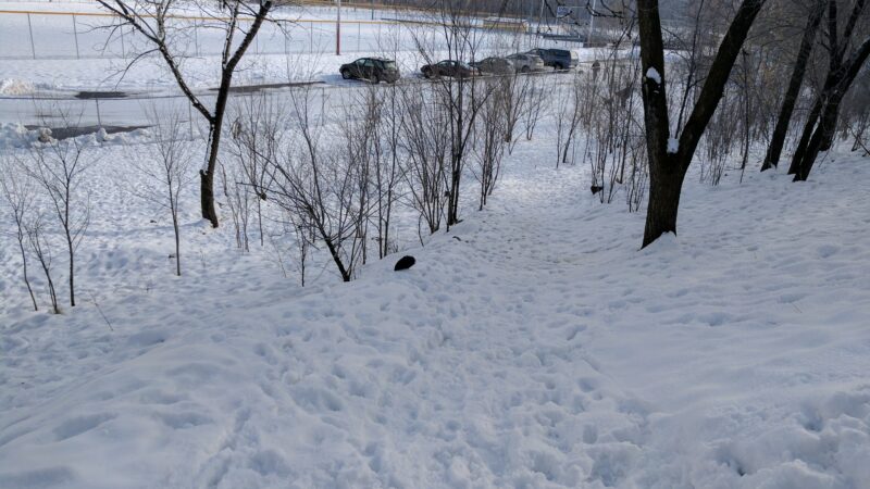 Ogden City Dog Park - Ogden, UT