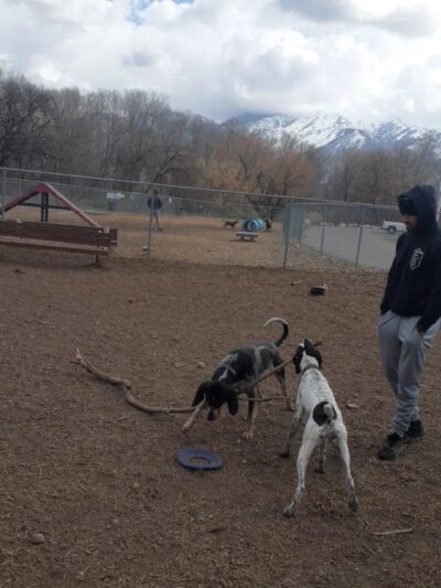 Ogden City Dog Park - Ogden, UT