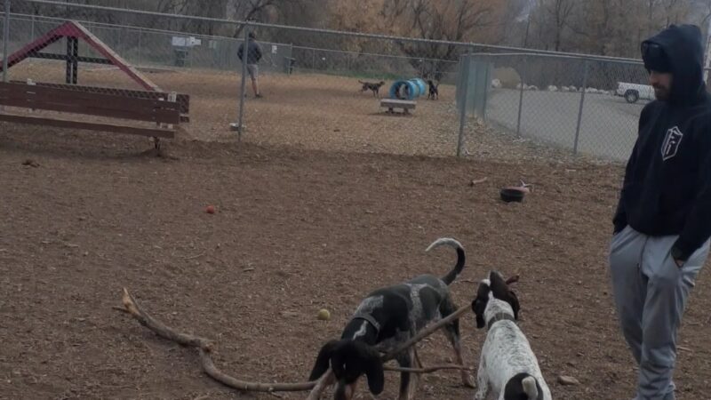 Ogden City Dog Park - Ogden, UT