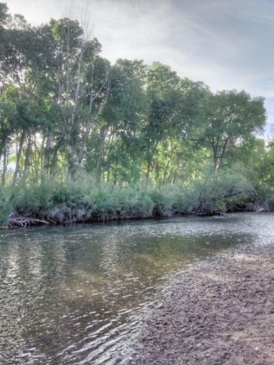 Ogden City Dog Park - Ogden, UT