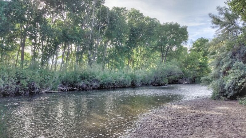 Ogden City Dog Park - Ogden, UT