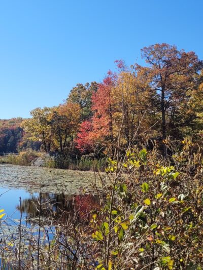 Heaters Pond Park - Ogdensburg, NJ