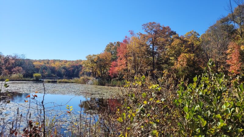 Heaters Pond Park - Ogdensburg, NJ