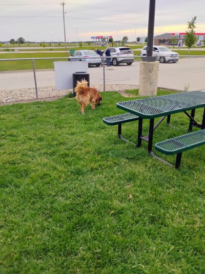 Dog Park at Love’s Travel Stops - Oglesby, IL