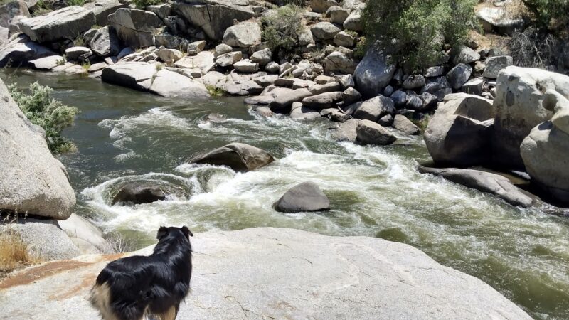 Mitchell Edelson Dog Park - Ojai, CA