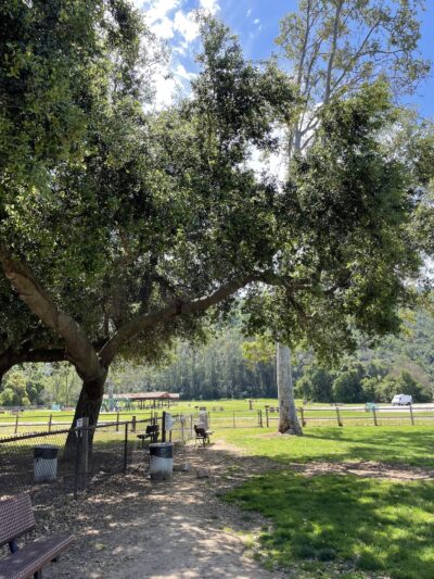 Mitchell Edelson Dog Park - Ojai, CA