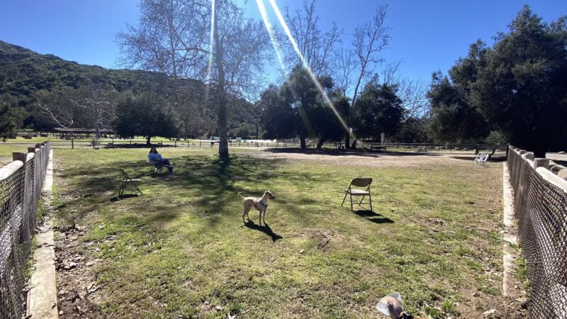 Mitchell Edelson Dog Park - Ojai, CA