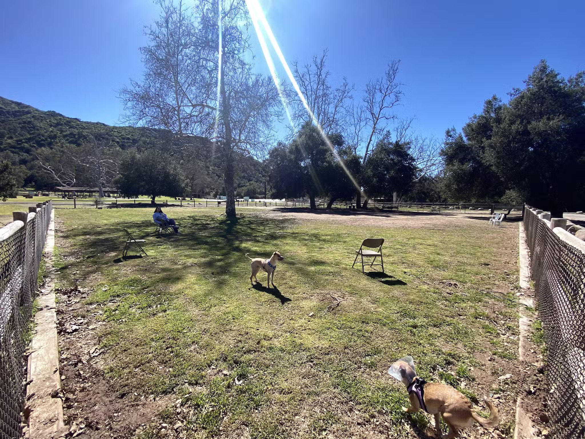 Mitchell Edelson Dog Park - Ojai, CA