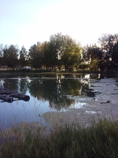 Olathe Community Park - Olathe, CO
