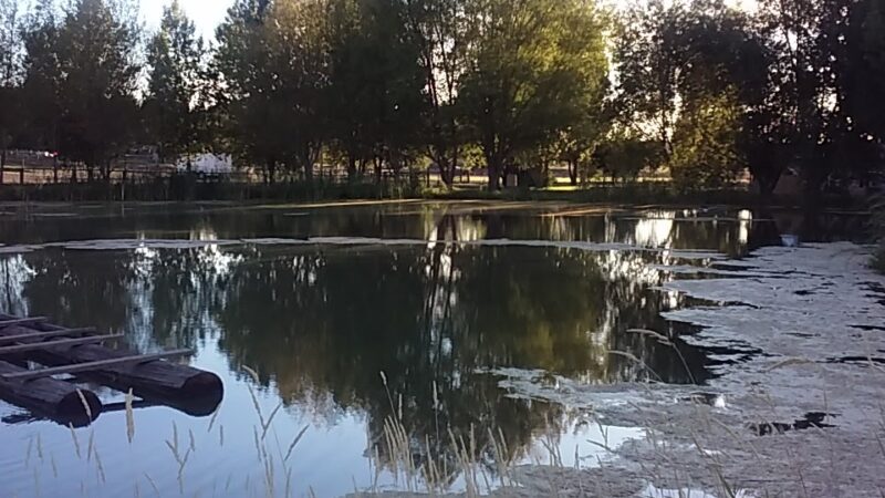 Olathe Community Park - Olathe, CO