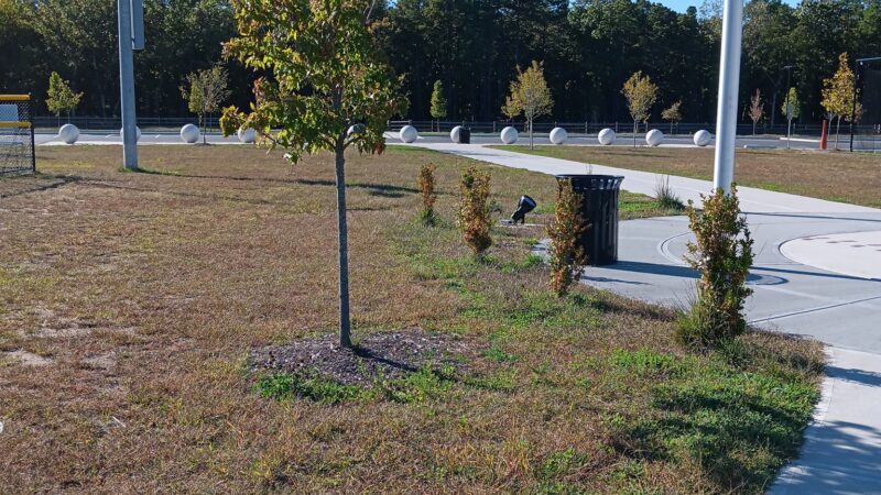 Mannino Park - Old Bridge, NJ