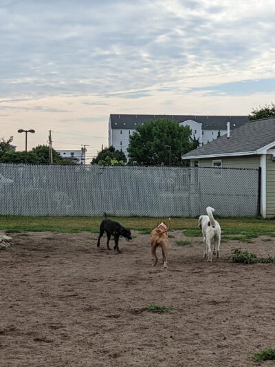 K9 Veteran's Memorial Dog Park - Old Orchard Beach, ME