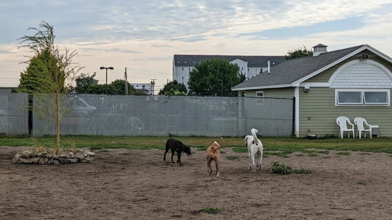 K9 Veteran's Memorial Dog Park - Old Orchard Beach, ME