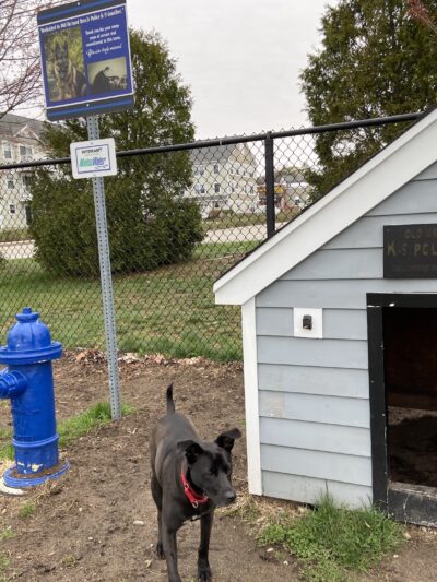 K9 Veteran's Memorial Dog Park - Old Orchard Beach, ME