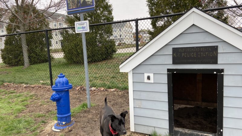 K9 Veteran's Memorial Dog Park - Old Orchard Beach, ME