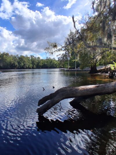 Joe Anderson Park/Boat Ramp - Old Town, FL