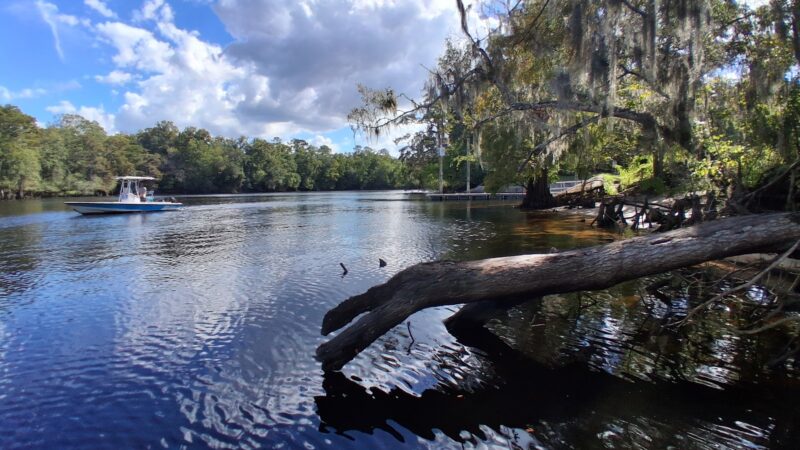 Joe Anderson Park/Boat Ramp - Old Town, FL