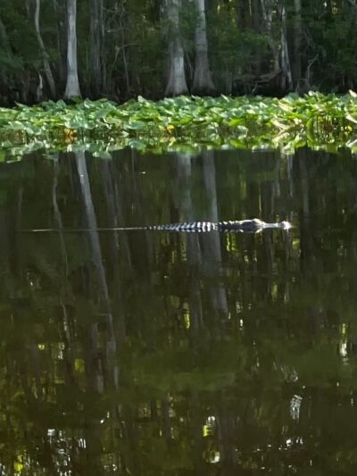Nature Coast State Trail Parking - Old Town, FL