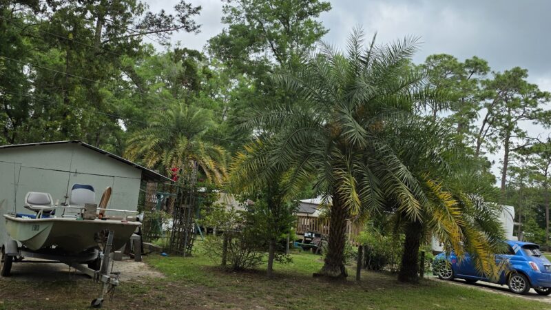Old Town Campground - Old Town, FL