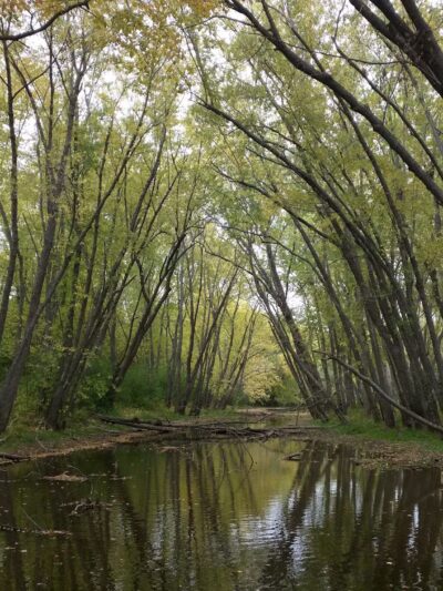 Coombs Park - Old Town, ME