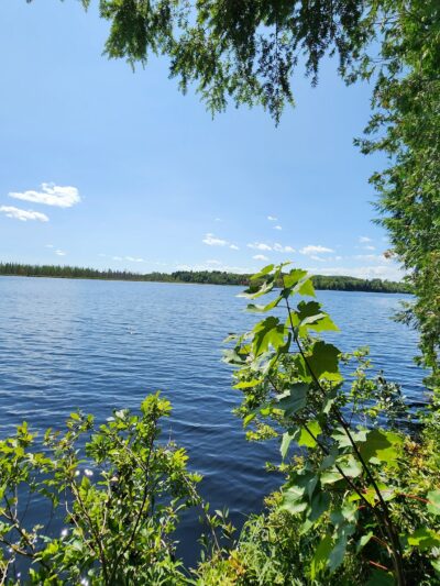 Perch Pond Recreational Trails - Old Town, ME
