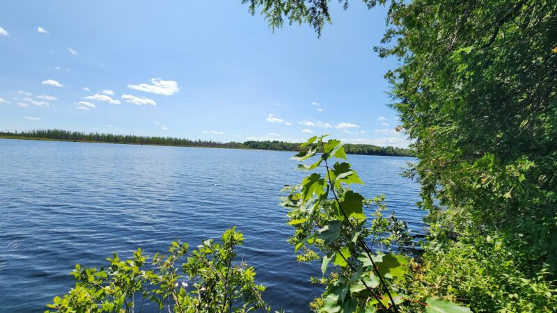 Perch Pond Recreational Trails - Old Town, ME