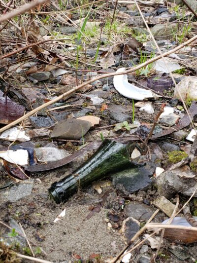 Treat - Webster Park - Old Town, ME