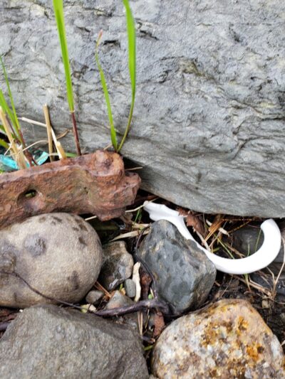 Treat - Webster Park - Old Town, ME