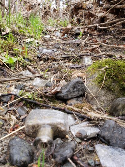 Treat - Webster Park - Old Town, ME