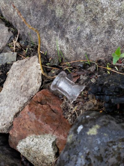 Treat - Webster Park - Old Town, ME