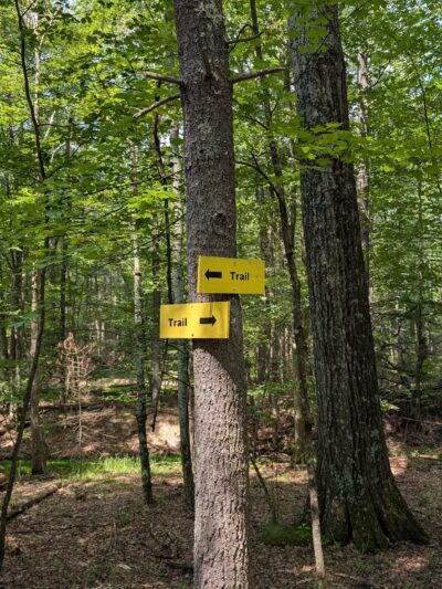 Ashokan Quarry Trail - Olivebridge, NY