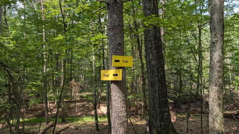 Ashokan Quarry Trail - Olivebridge, NY