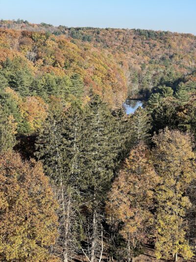 Ashokan Rail Trail - Olivebridge, NY