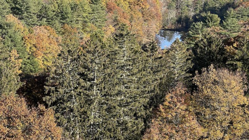 Ashokan Rail Trail - Olivebridge, NY