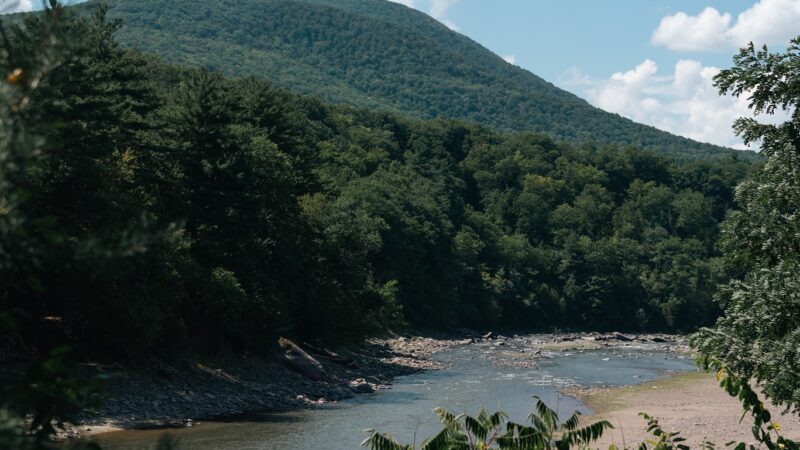 Ashokan Rail Trail - Olivebridge, NY