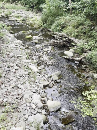McKenley Hollow Trailhead Parking - Oliverea, NY