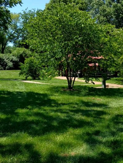 Villa Park - Olivette, MO