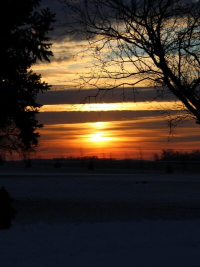 Sunrise Park - Olivia, MN