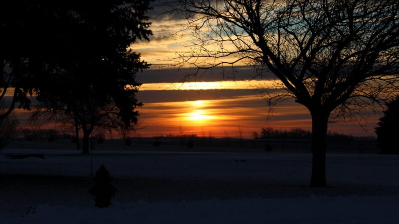 Sunrise Park - Olivia, MN