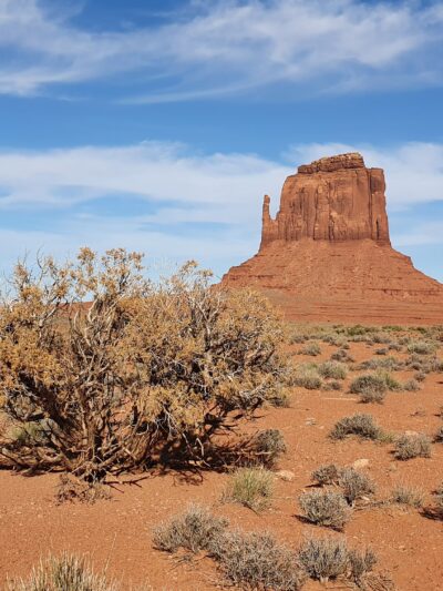 Wildcat Trail - Oljato-Monument Valley, UT