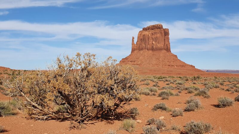 Wildcat Trail - Oljato-Monument Valley, UT